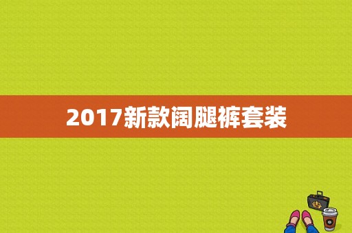 2017新款阔腿裤套装